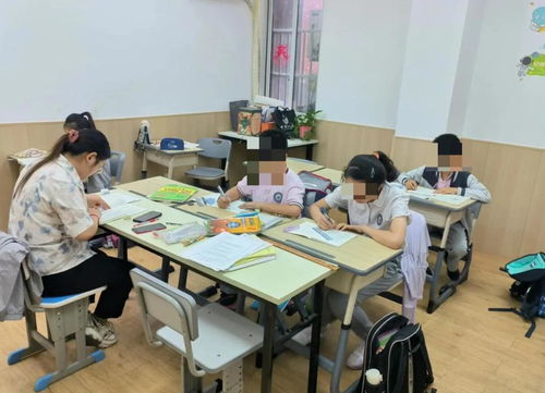 成年人的暑假“回爐” 十萬元一對一托管班背后的教育焦慮與自我重塑